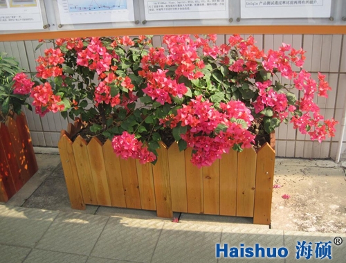 HS-X-49ľ�|(zh��)����ľ����