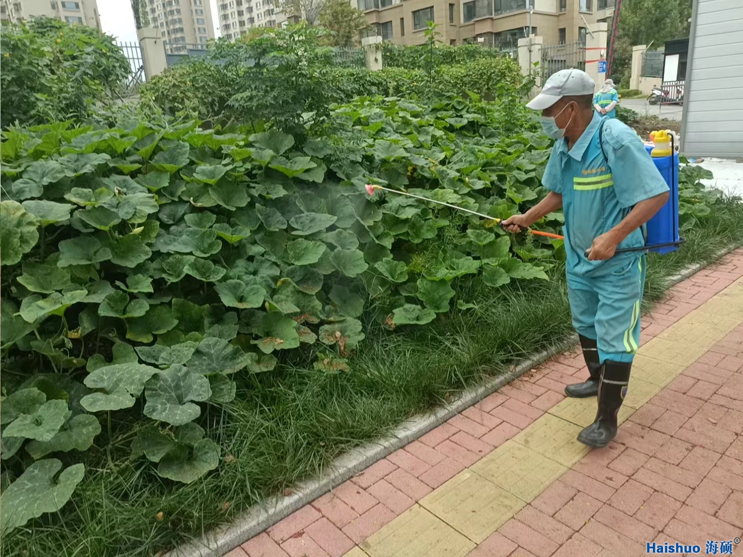 �Gֲ�B(y��ng)�o